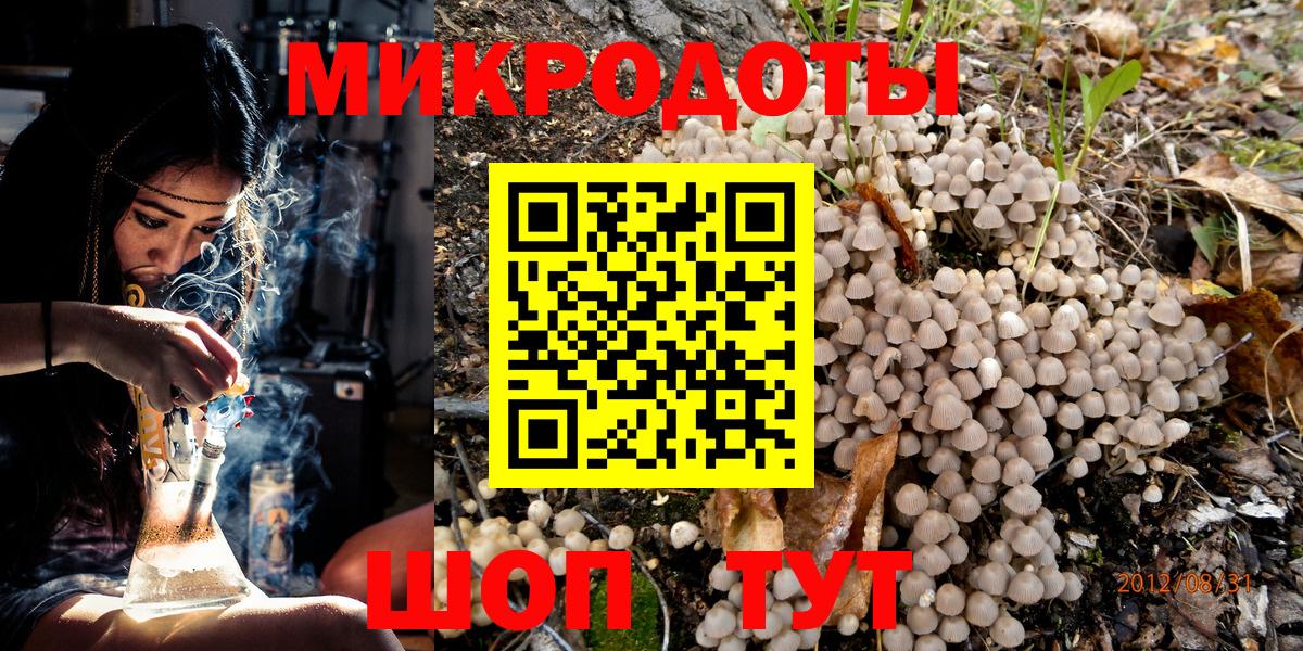 Псилоцибиновые грибы Psilocybe Кириши