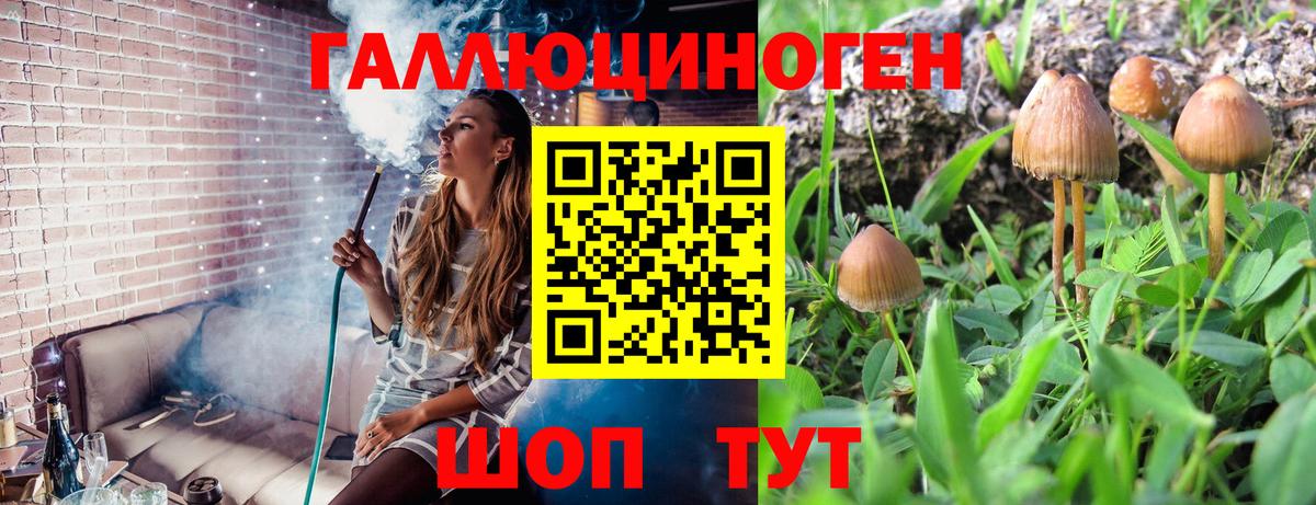 Кириши  Псилоцибиновые грибы Magic Shrooms  Галлюциногенные грибы прущие грибы  Вход с VPN 